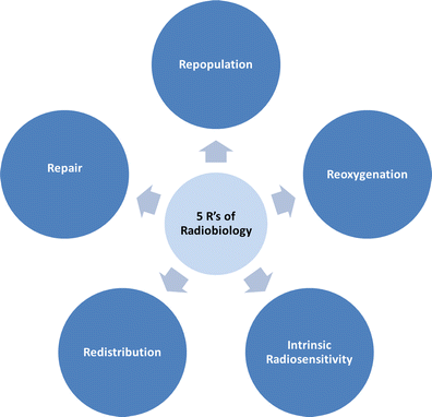 The 5 Rs of Radiobiology: Essential Concepts for FRCR Part 1 Success