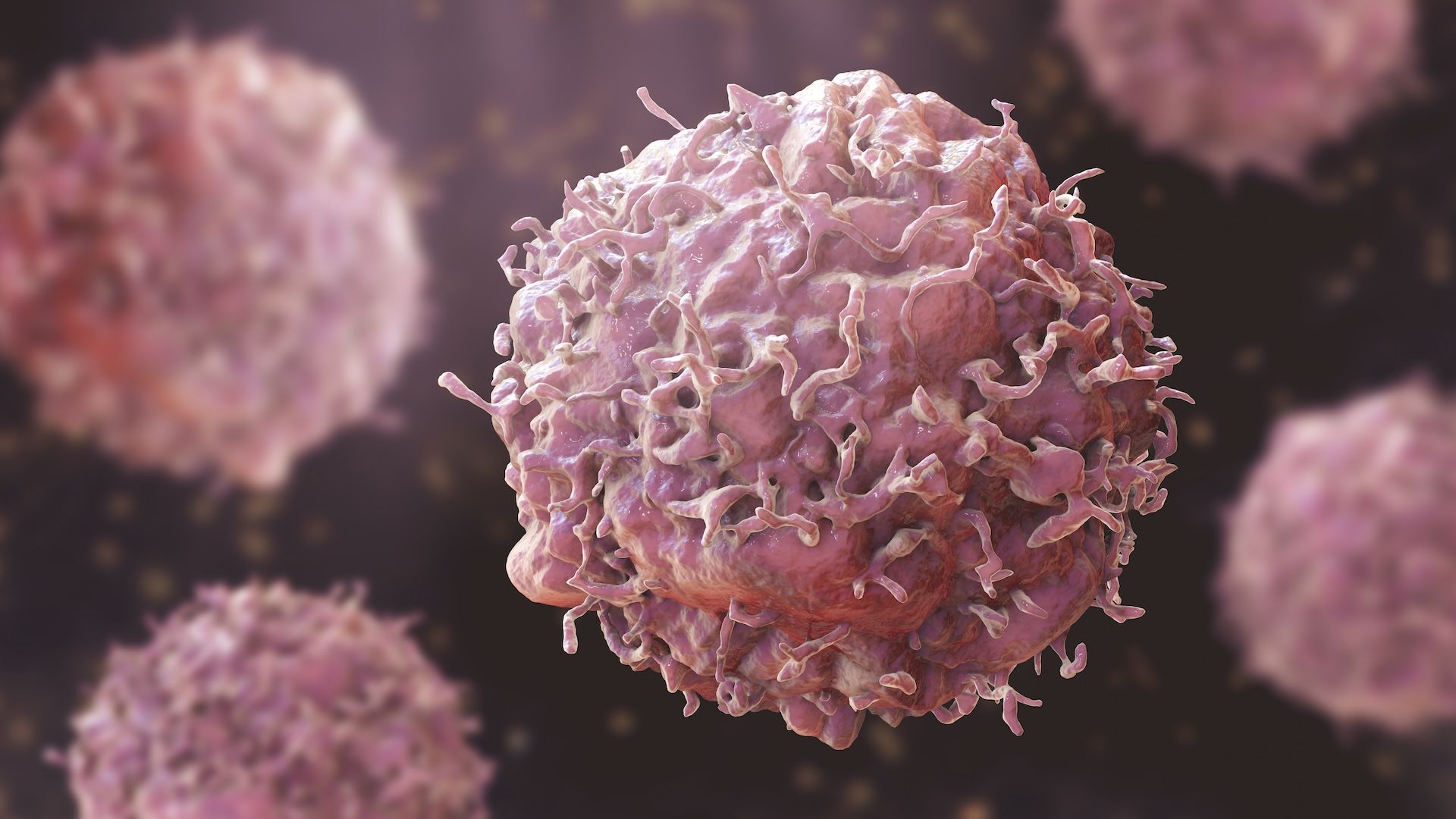 The Hallmarks of Cancer: From Hanahan & Weinberg to Modern Oncology