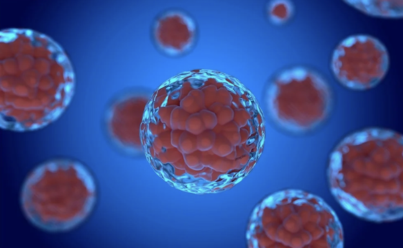 The Oxygen Effect and Tumour Hypoxia: Essential Radiobiology for FRCR Part 1