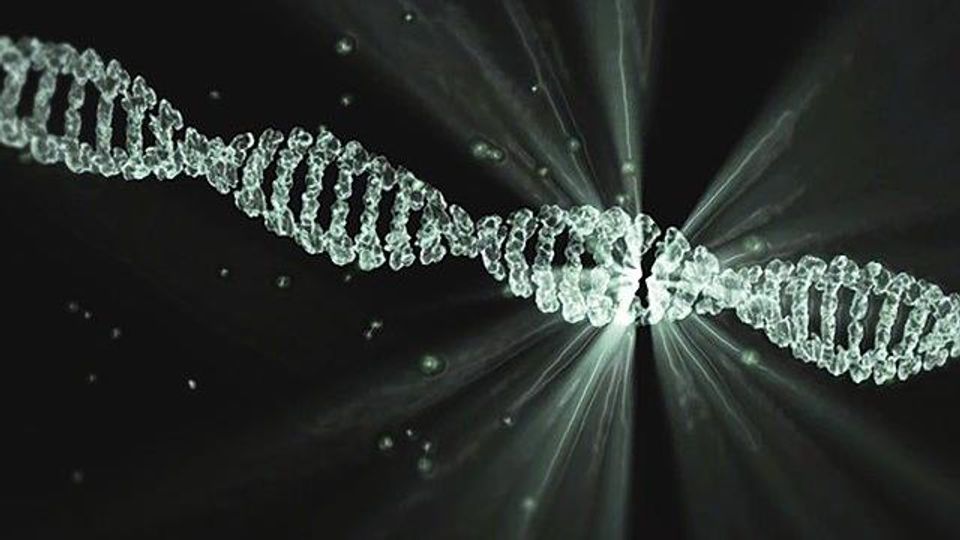 DNA Repair Mechanisms in Cancer: Understanding BRCA, Homologous Recombination, and PARP Inhibitors for FRCR Part 1